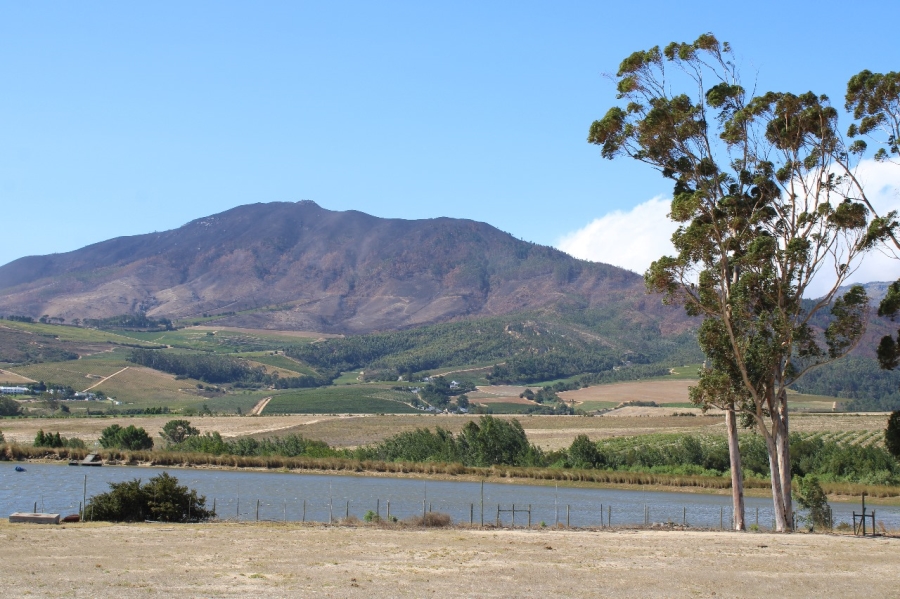 To Let Commercial Property for Rent in Bainskloof Western Cape